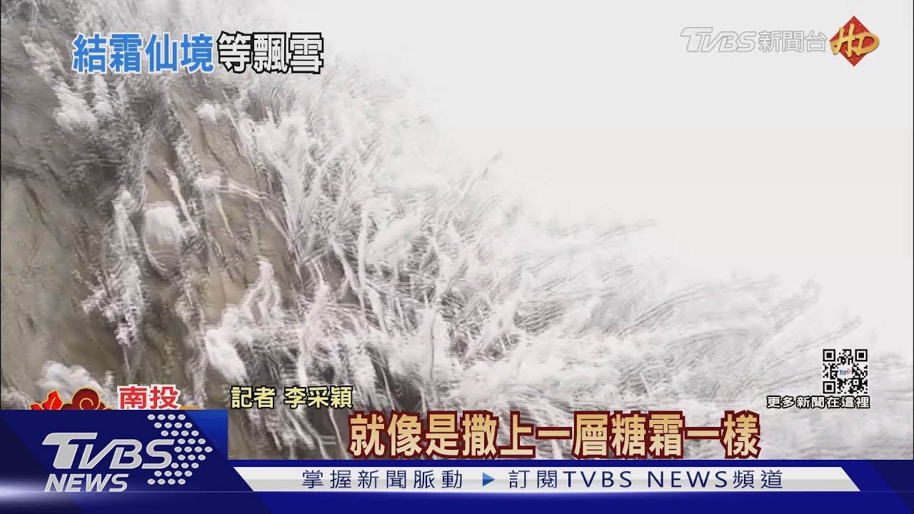 寒流限定美景! 合歡山「雪白世界」山坡整片霧淞