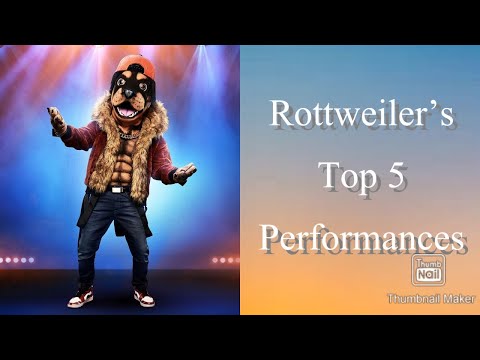 Rottweiler’s Top 5 Best Performances | Masked Singer | Season 2