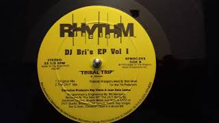 DJ Bri -Tribal Trip (Original Mix)