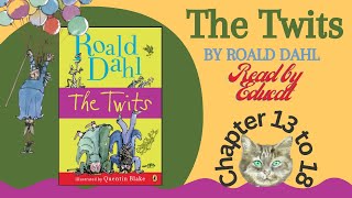 Chapter 13 to 18 The Twits by Roald Dahl