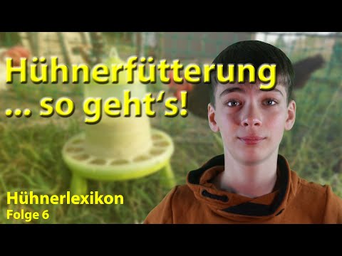 , title : 'So geht Hühnerfütterung - Allgemeine Infos zur Fütterung eurer Hühner | Hühnerlexikon Folge 6'