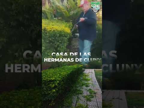 Trabajos de Mantenimiento
