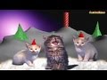 Jingle Cats - Silent night