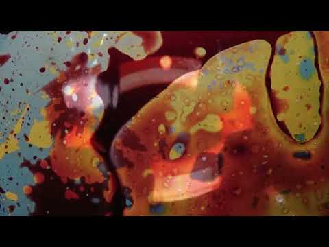 Chuck Norris Bear Fight Chuck Norris Bear Fight CNBF Shame On Me