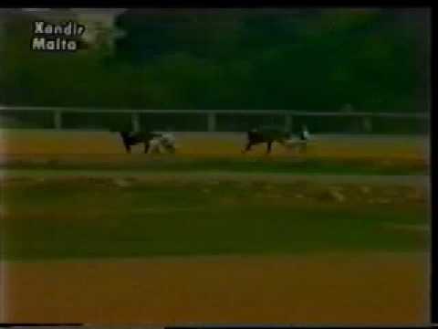 Malta Racing Club Memories - 1983 - Safari Cup Heat