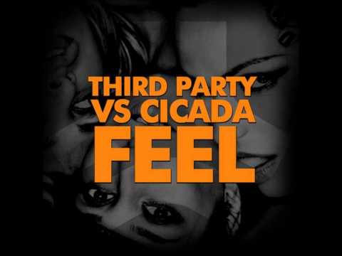 Third Party vs. Cicada - Feel