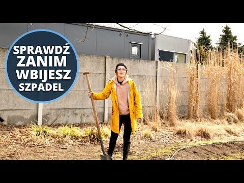 , title : 'Jak i gdzie założyć warzywnik w ogrodzie. Przydatne wskazówki'