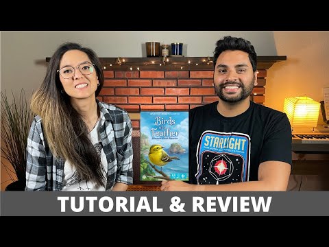 Birds of a Feather: Western North America - How to Play & Review