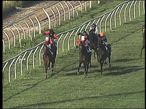 Galoppo 01/06/2015 - 6° corsa