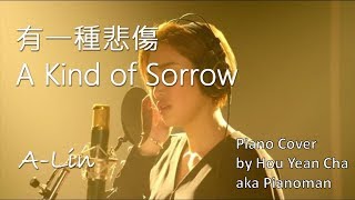 A-Lin《有一種悲傷 A Kind of Sorrow》|More Than Blue Theme Song Piano Cover - David Cha