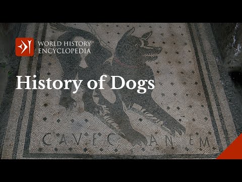The Long History of Dogs in Honour of International Dog Day