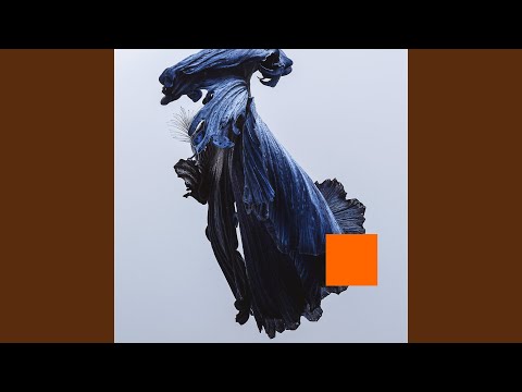 Video thumbnail for The Light (Interlude)