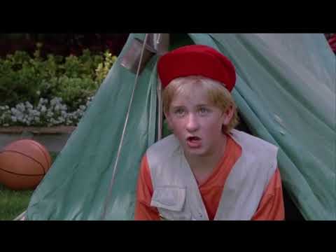Honey I Shrunk The Kids - Arrow