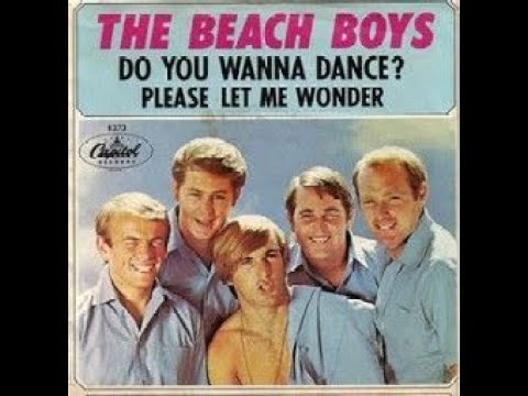 Please Let Me Wonder   The Beach Boys
