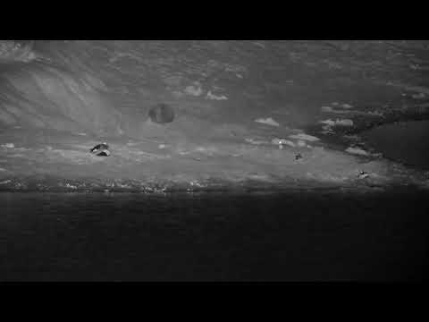 Djuma: Egyptian Geesr, Blacksmith Lapwings and Water Thick-knees - 20:34 - 10/18/2022