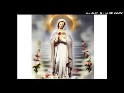 Maria Rosa Mystica by Kamikazi