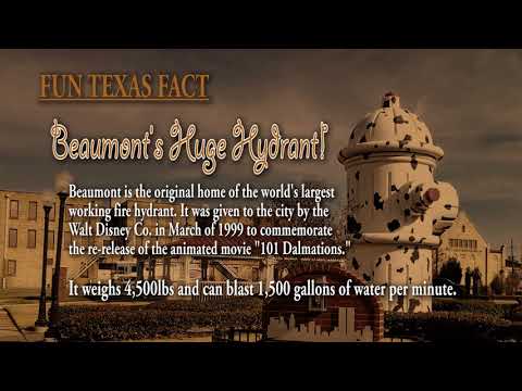 Southern Media Source video.