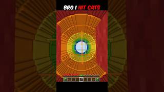 Download lagu Bro I Hit Cats #minecraft mp3