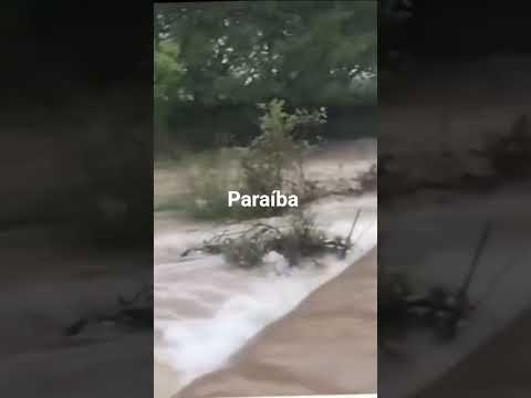 riacho dos cavalos Paraíba #chuvas#natureza#enchente #viralshorts