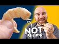 Turning ALGAE Into VEGAN SHRIMP That TASTES LIKE THE REAL THING