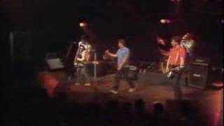 Los Nikis - Ernesto (live)