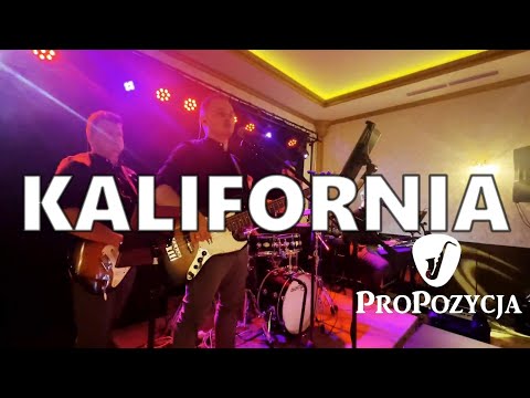 Zespół ProPozycja - Kalifornia  WESELE 2024 NA ŻYWO