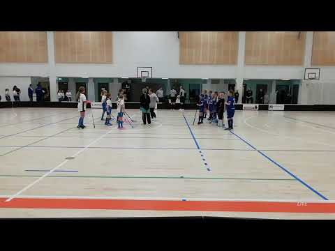 Nibacos Valkoinen - Blue Fox Sininen 10.12.