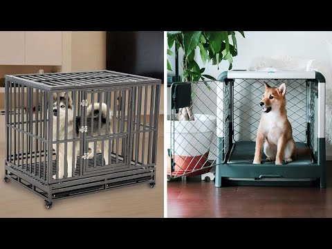 YouTube video about: How much are dog cages at walmart?