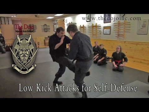 Kicks for Defense and Distraction - The Dojo Martial Arts