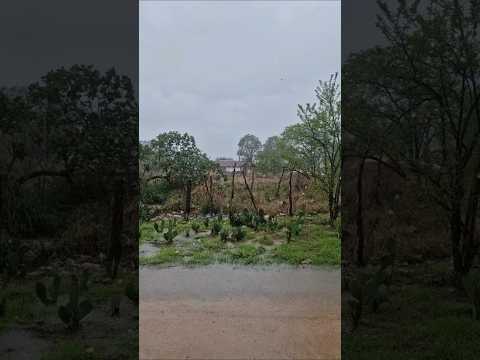 chuva no interior de Pernambuco e região de iati Pernambuco