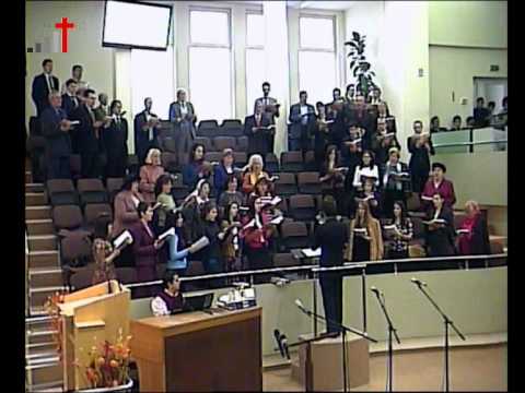 Duminica 20 nov 2011