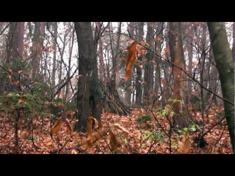 Matt Uelmen | Outtake 3