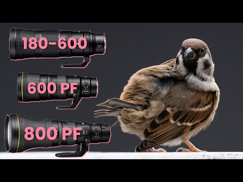 Nikon 180-600 vs 600 PF vs 800 PF