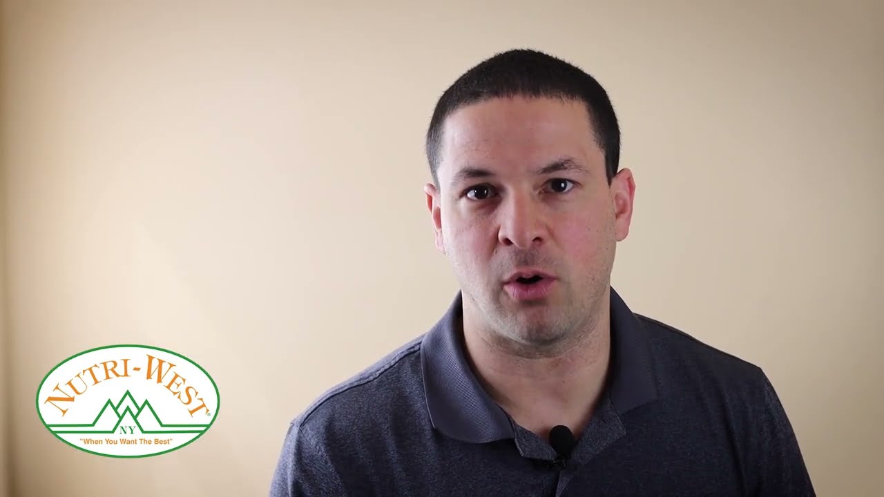A business tip from Dr. Jason Horowitz on hiring for your chiropractic practice
