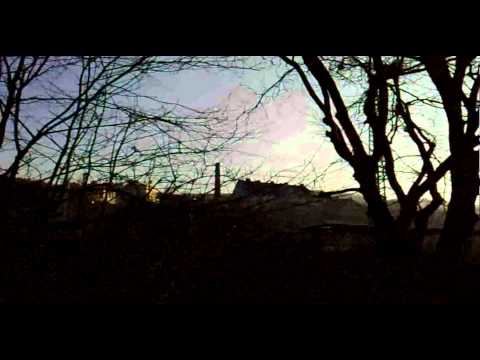 Demonstration  Wuppertal 29.01.11 Unterbarmen