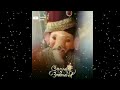 Ganpati Bappa 4k Full Screen New Status Majha Bappa Bappa Lover Ganesh Chaturthi Suraj Edit