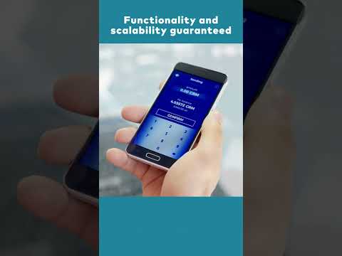 Taking your custom software idea from idea to Minimum Viable Product in 3 to 6 months