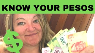 Mexican Pesos Explained| Currency Converter Converting Dollars and The App To Use
