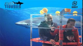 DIA 2 Expo Tiburon130