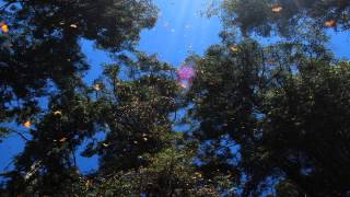 Beautiful South - Les Yeux Ouverts