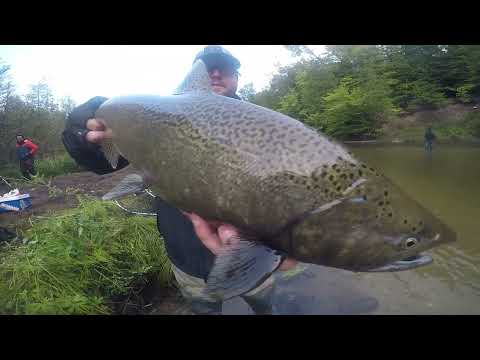 How To Land A King Salmon Like A Pro / "The Kick Assist" / Michigan Salmon Float Fishing 2022