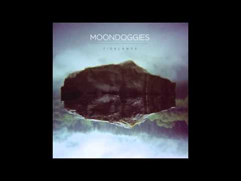 The Moondoggies - It's a Shame, It's a Pity - not the video