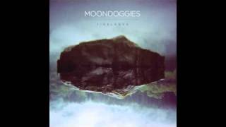 The Moondoggies - It's a Shame, It's a Pity - not the video