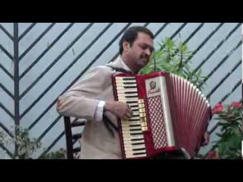 Dil Ki Nazar Se Instrumental | Accordion