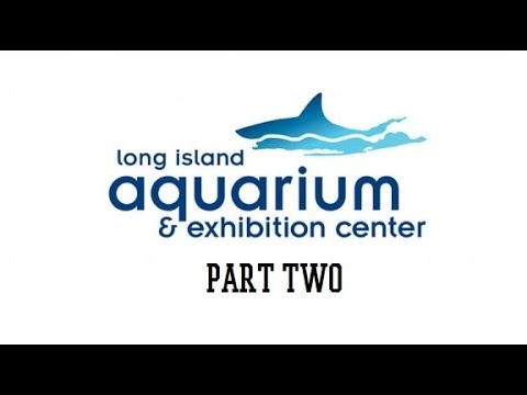Long Island Aquarium Full Tour - Long Island, New York - Part Two