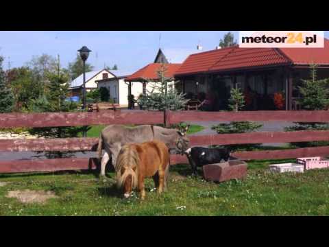 Noclegi Astra - Agroturystyka - Rozalin meteor24.pl