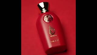 Miniature de la vidéo