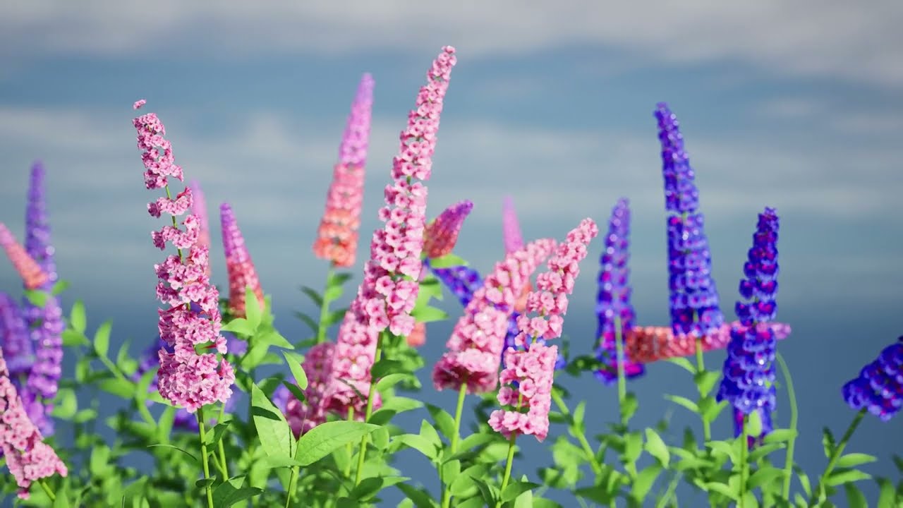 Blue Butterfly Bush flowers 3D Model