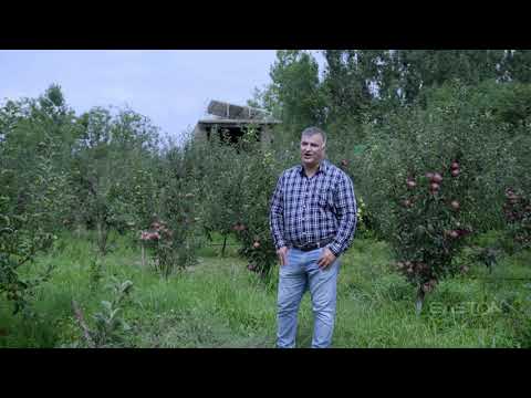 Grundfos Pumps - Client Testimonial Teaser Video for Kashmir valley farmers
