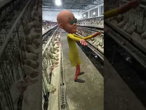 dam dam diga diga #short